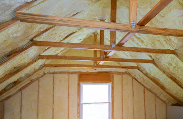 Best Cellulose Insulation  in Paloma Creek South, TX