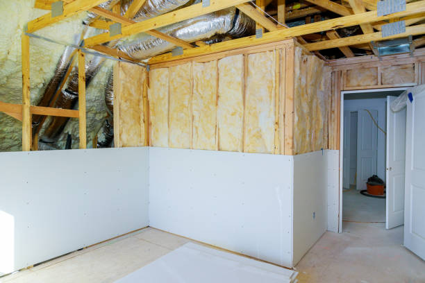Insulation Repair Services in Paloma Creek South, TX