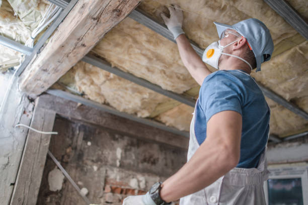 Best Attic Insulation Installation  in Paloma Creek South, TX