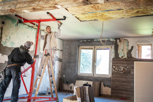 Best Home Insulation Services  in Paloma Creek South, TX
