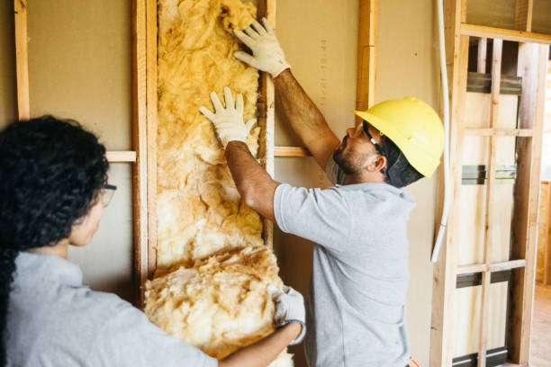 Range of Insulation Solutions in Paloma Creek South, TX