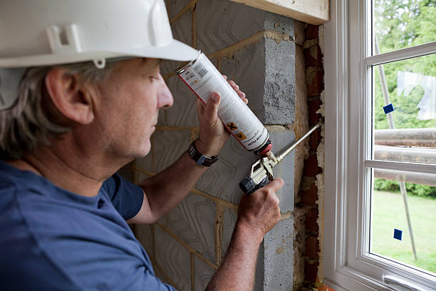 Best Insulation Repair Services  in Paloma Creek South, TX