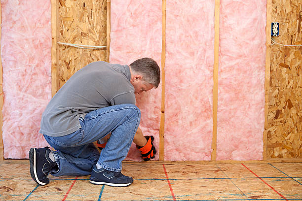 Best Spray Foam Insulation  in Paloma Creek South, TX