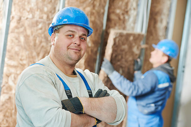 Best Local Insulation Services  in Paloma Creek South, TX