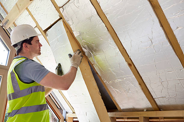 Best Fiberglass Insulation  in Paloma Creek South, TX