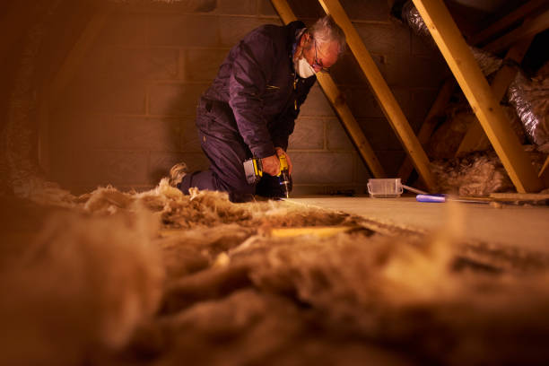 Best Best Insulation Companies  in Paloma Creek South, TX