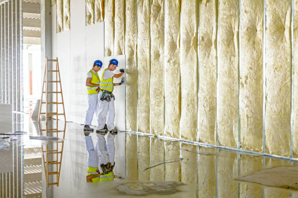Best Soundproof Insulation Installation  in Paloma Creek South, TX